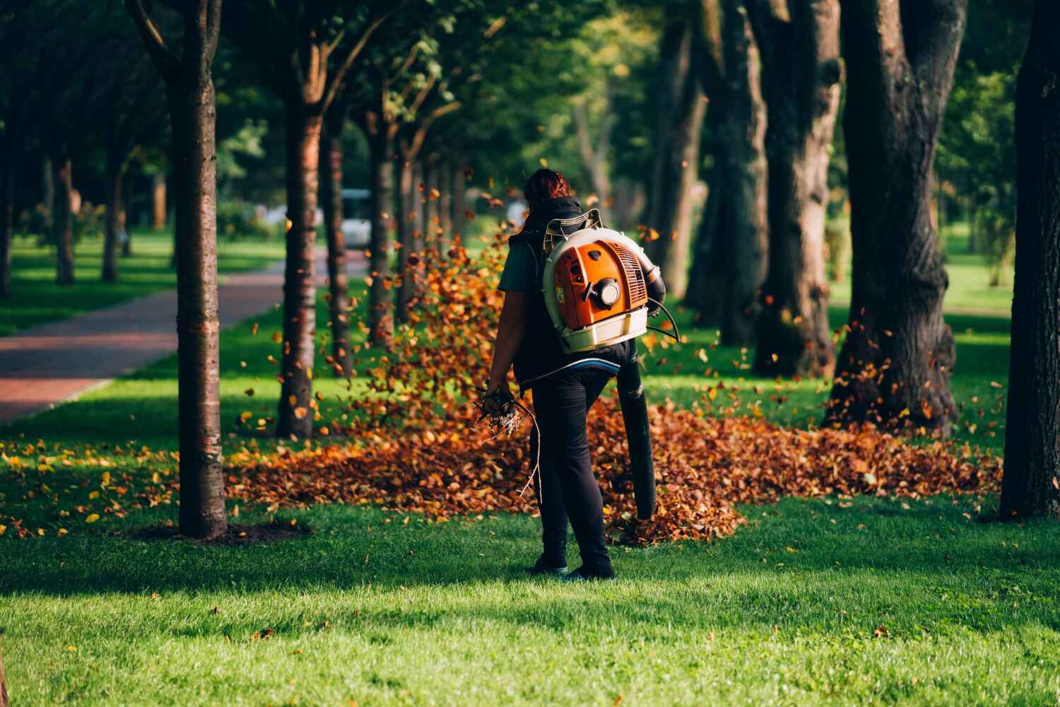 Best Tree Root Removal  in Smithville, MO